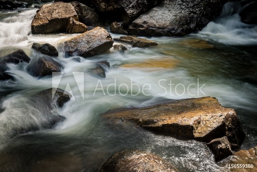 Bild på River stream in Endau Rompin National Park Malaysia